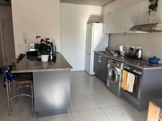 To Let 2 Bedroom Property for Rent in Observatory Western Cape